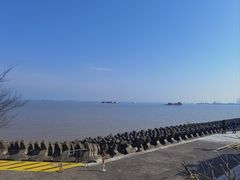 -上海滨江森林公园