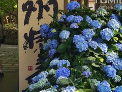-湖畔居茶楼(湖滨店)