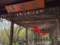 -雨花胜境