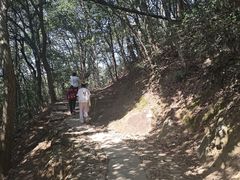 -西湖风景区十里琅珰-五云山