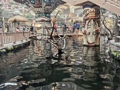 -南宫五洲植物乐园