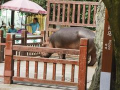 -贵州森林野生动物园
