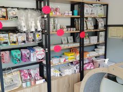 -伟伟宠物医院·瑞派猫友好医院·猫科(光谷店)