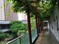 -桃园盛宴·岭南粤菜·手工茶点(南庄店)