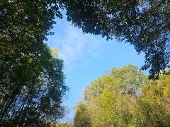 -天目湖涵田度假村