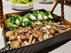 -子福慧(虹桥店)