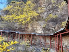 -佛慧山