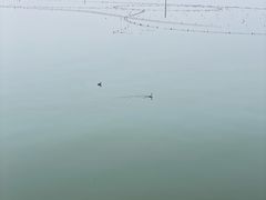 -漳泽水库水上公园