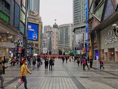 -一只酸奶牛(八一路店)