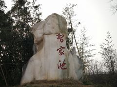 -习家池