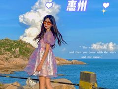 -广东惠东海龟国家级自然保护区