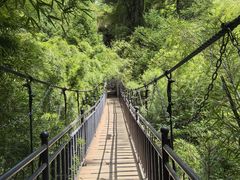 -卡定沟景区