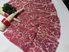 -洋房火锅(上海新天地南北里店)