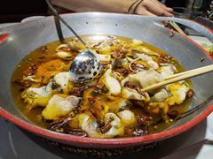 -雲蜀龙阁·金牌水煮鱼(方庄店)