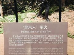 -北京周口店北京人遗址博物馆