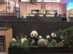 -将军府·鸡毛店(武侯祠店)