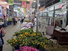 -三圣花乡旅游区