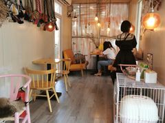 -灯塔咖啡馆BOOK·Coffee Shop