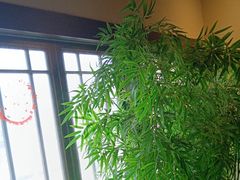 -洞庭土菜馆(天河北总店)