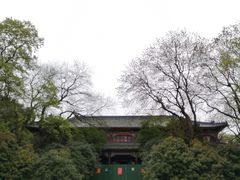 -灵谷景区