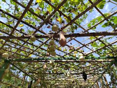 -新安江山水画廊风景区