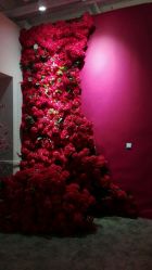 -戛纳印象摄影(潮拍定制馆)