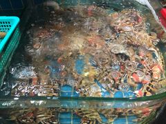 -海大大蒸汽海鲜餐厅·粤菜·特色小炒(欢乐颂店)