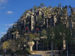 -苏州河梦清园环保主题公园