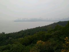 -野狸岛