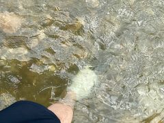 -十三陵水库