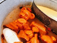 青瓷麻辣锅-青瓷火锅料理(西单大悦城店)