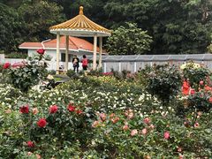 -人民公园(罗湖区)