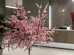 -张生记(丁香国际店)