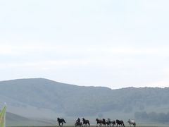 -御道口草原森林风景区