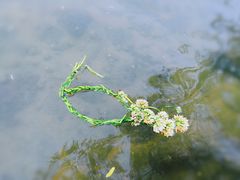 -天鹅湖体育公园