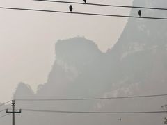 -明仕田园