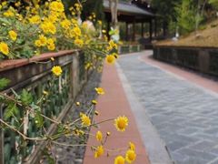 -广州神农草堂中医药博物馆