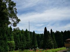-武陵山森林公园