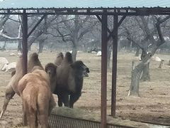 -西安秦岭野生动物园