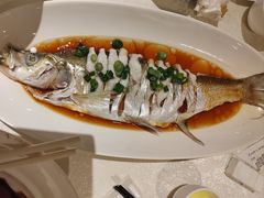 -金美华轩(东方路齐鲁店)