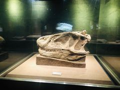 -自贡恐龙博物馆