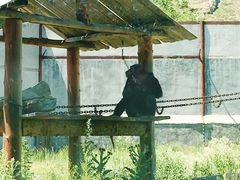 -新疆天山野生动物园