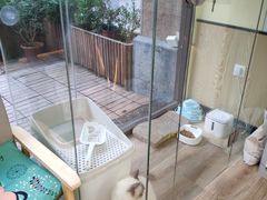 -派联宠物医院·24h·CT·异宠