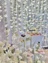 -DC大蔡婚礼策划(李公堤店)