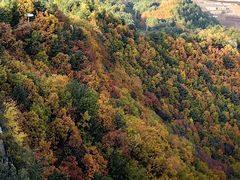-五营红松林海景区
