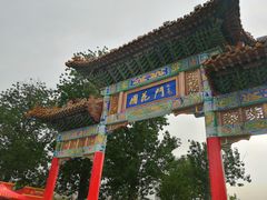 -曹州牡丹园