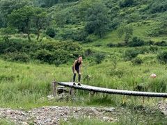 -芦芽山旅游度假区