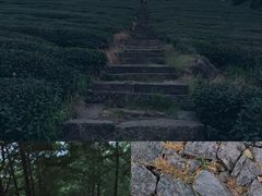 -东白山