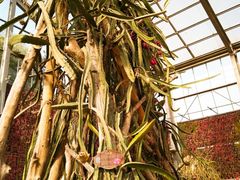 -南通洲际绿博园