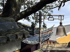-普陀山风景区-佛顶山